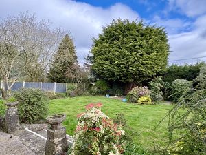 Front Garden- click for photo gallery